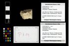 Foto (Objekt + Etikett) von Mundopsidae indet.  (NHMW-GEO-2014-0194-0714)